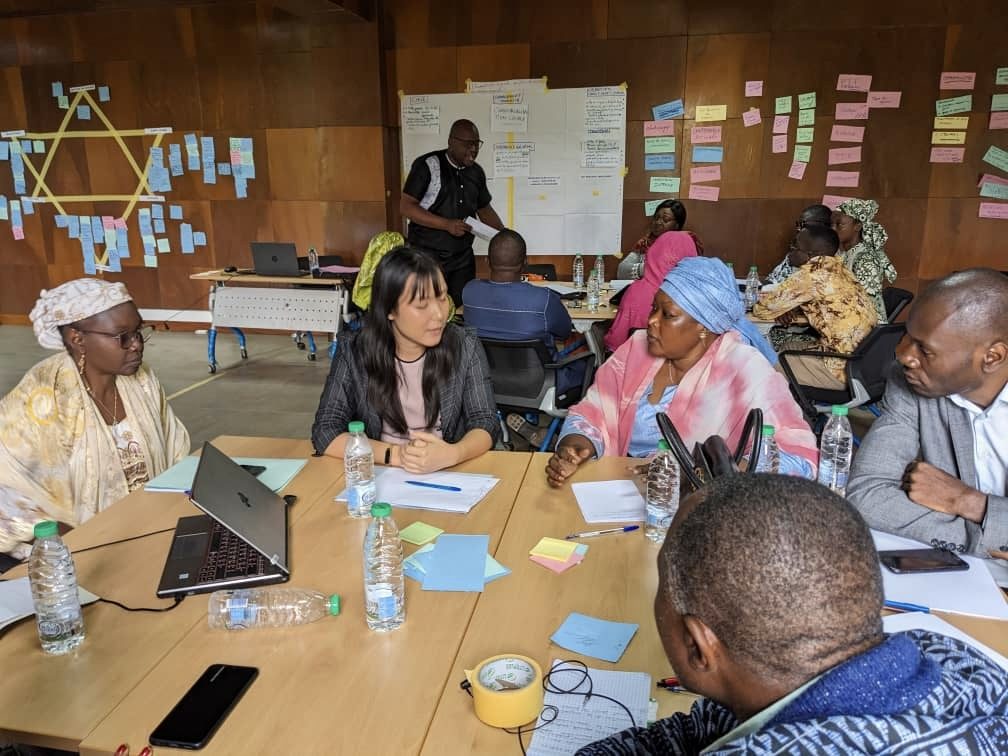 Zhenai consulting in Cameroon
